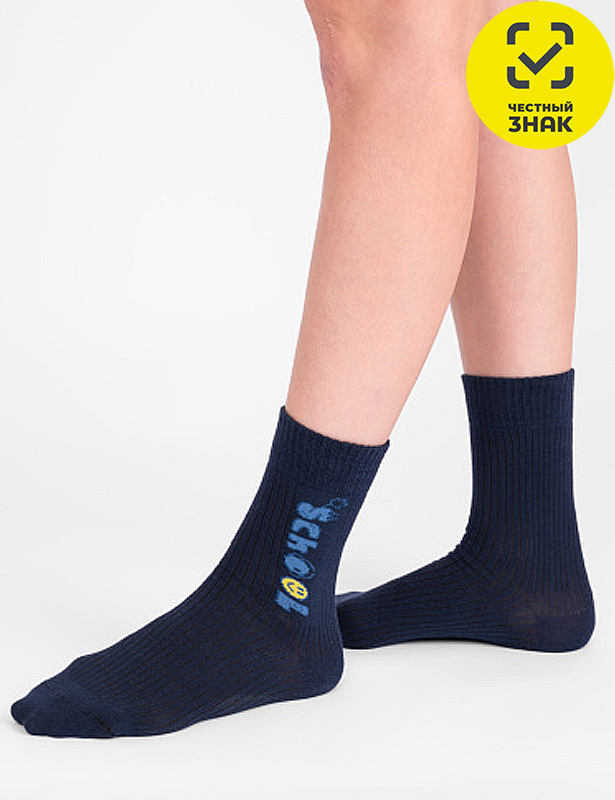 Подростковые носки С2646 (20-22, Синий)