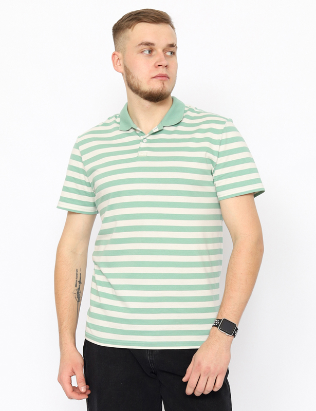 CWSM 60369-37 Рубашка-поло мужская (Зеленый (176)-096(48))